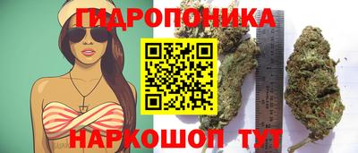 не бодяженный Кандалакша
