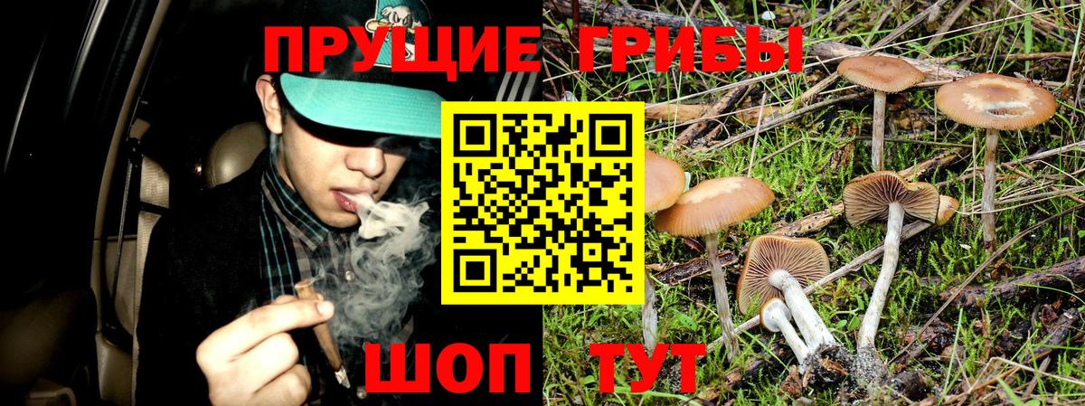 Псилоцибиновые грибы мухоморы Урай